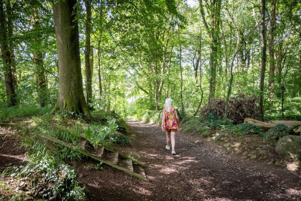 Thwaite Brow Woods — Place photograph