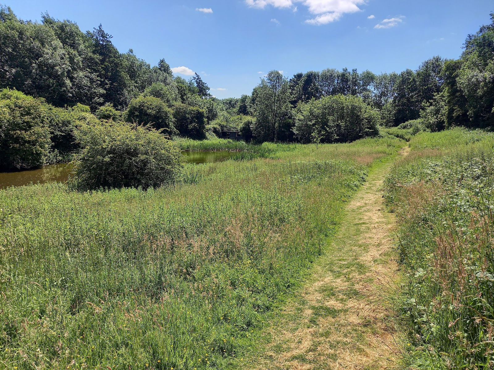 Toad Holes Beck — Place photograph