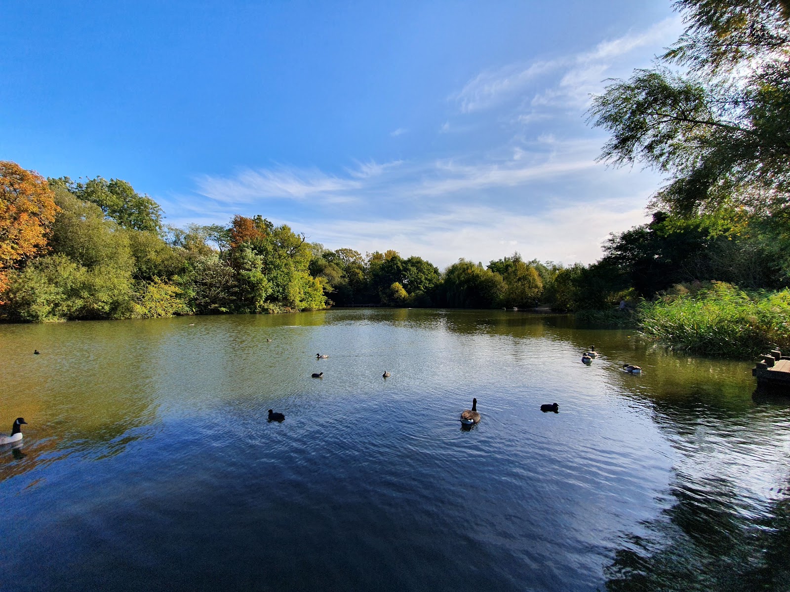 Tooting Common — Place photograph