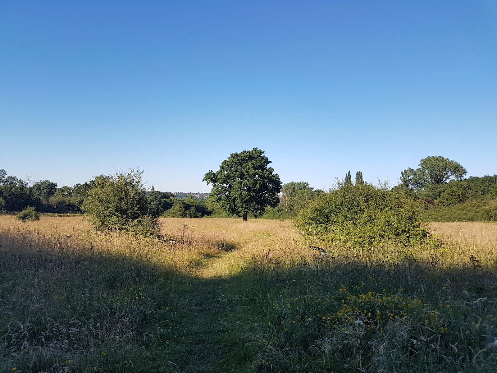 Totteridge Fields - London Wildlife Trust Nature Reserve