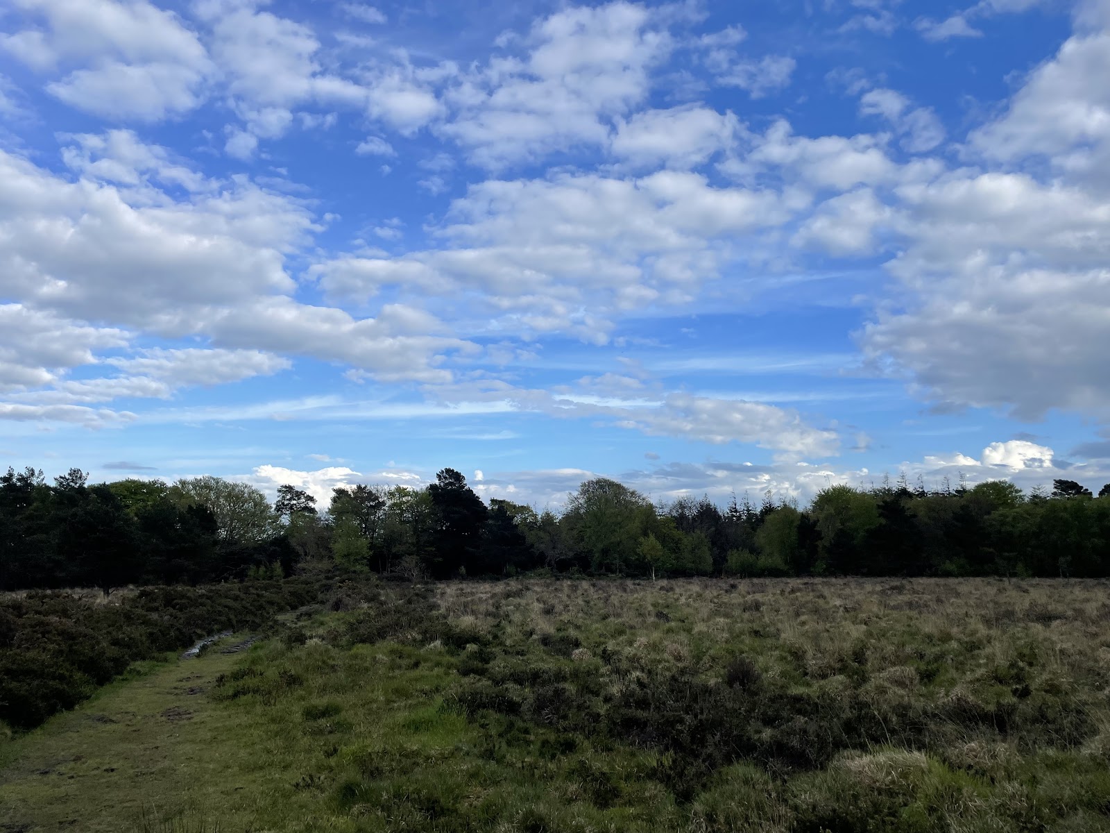 Trinity Hill Circular — Place photograph