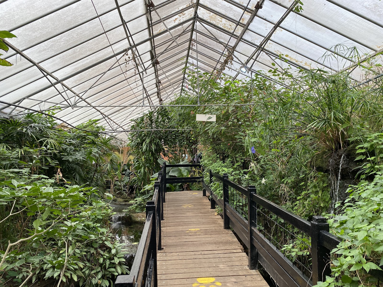 Tropical World — Place photograph