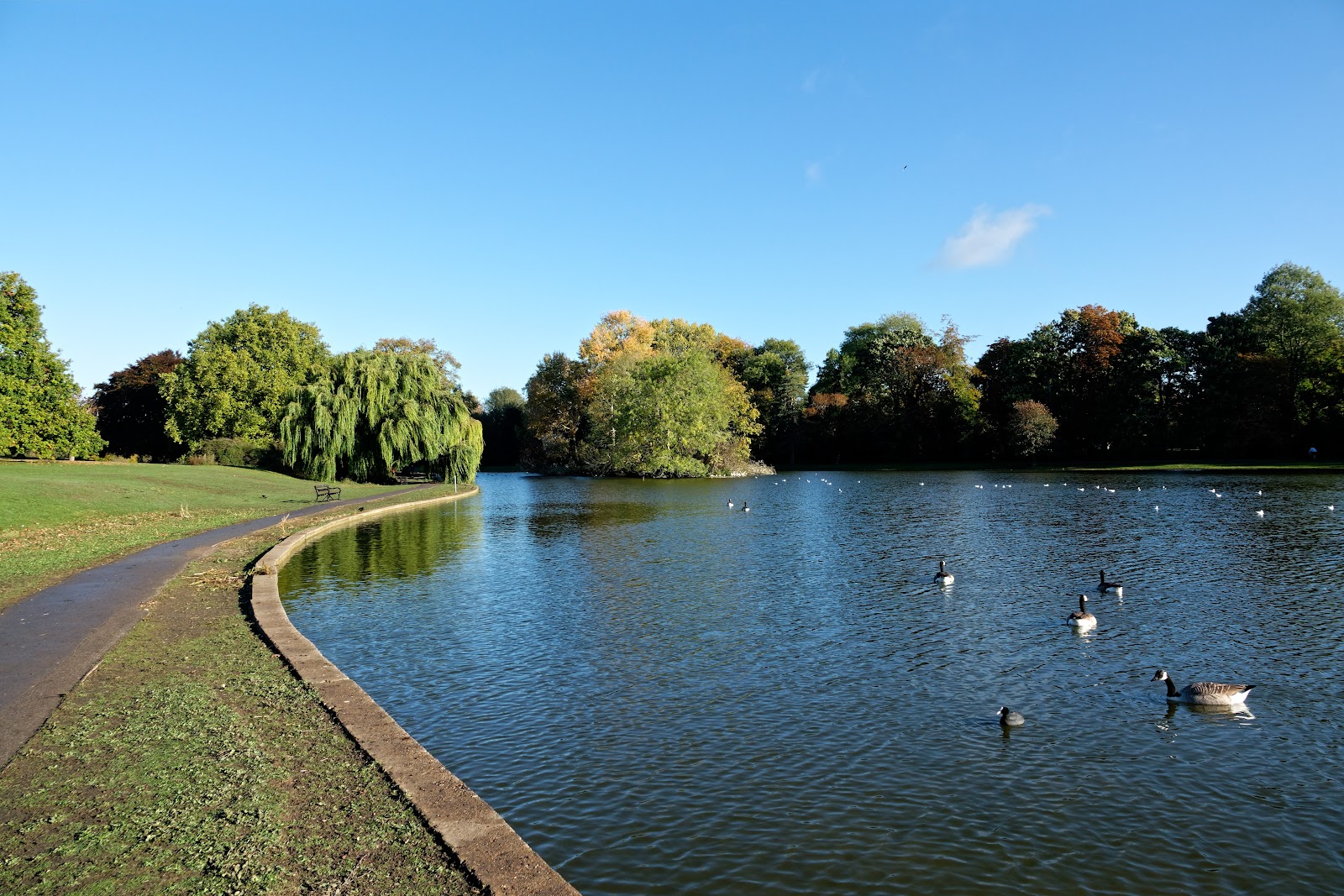 Verulamium Lake — Place photograph