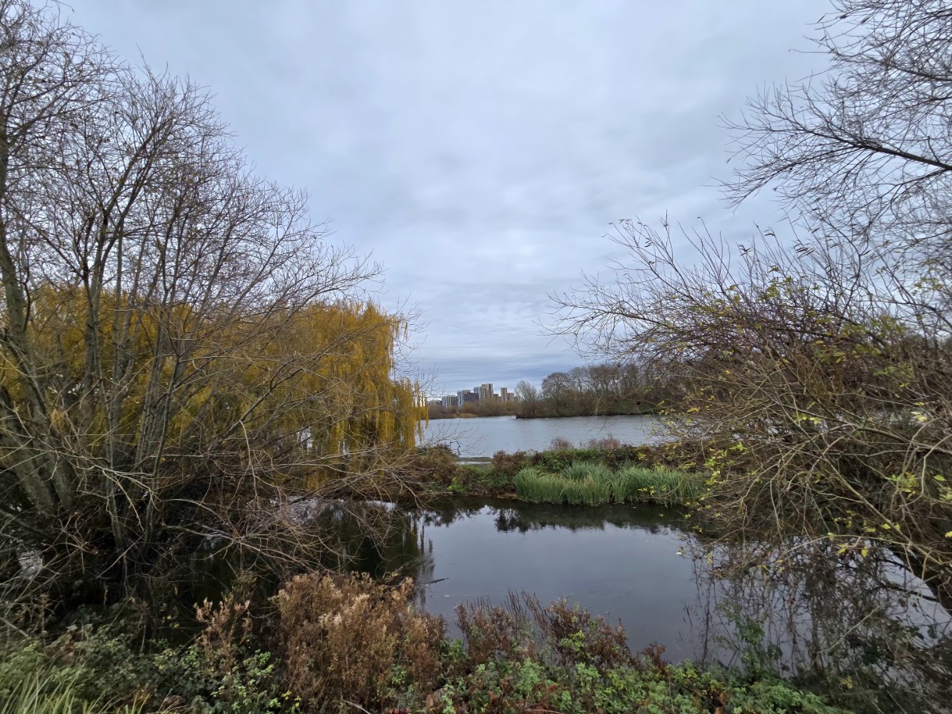 Walthamstow Wetlands — Source image