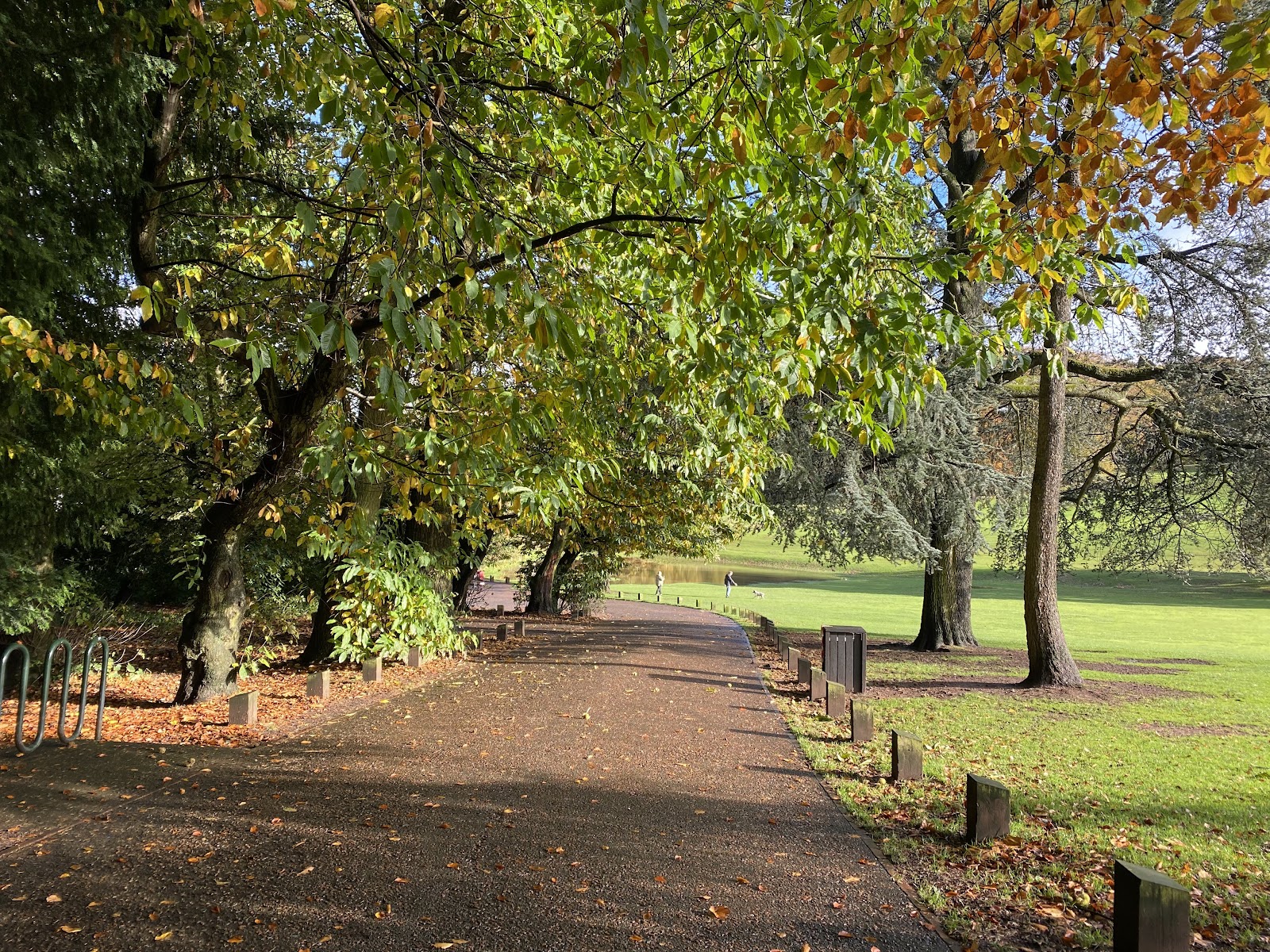 Warley Woods — Place photograph
