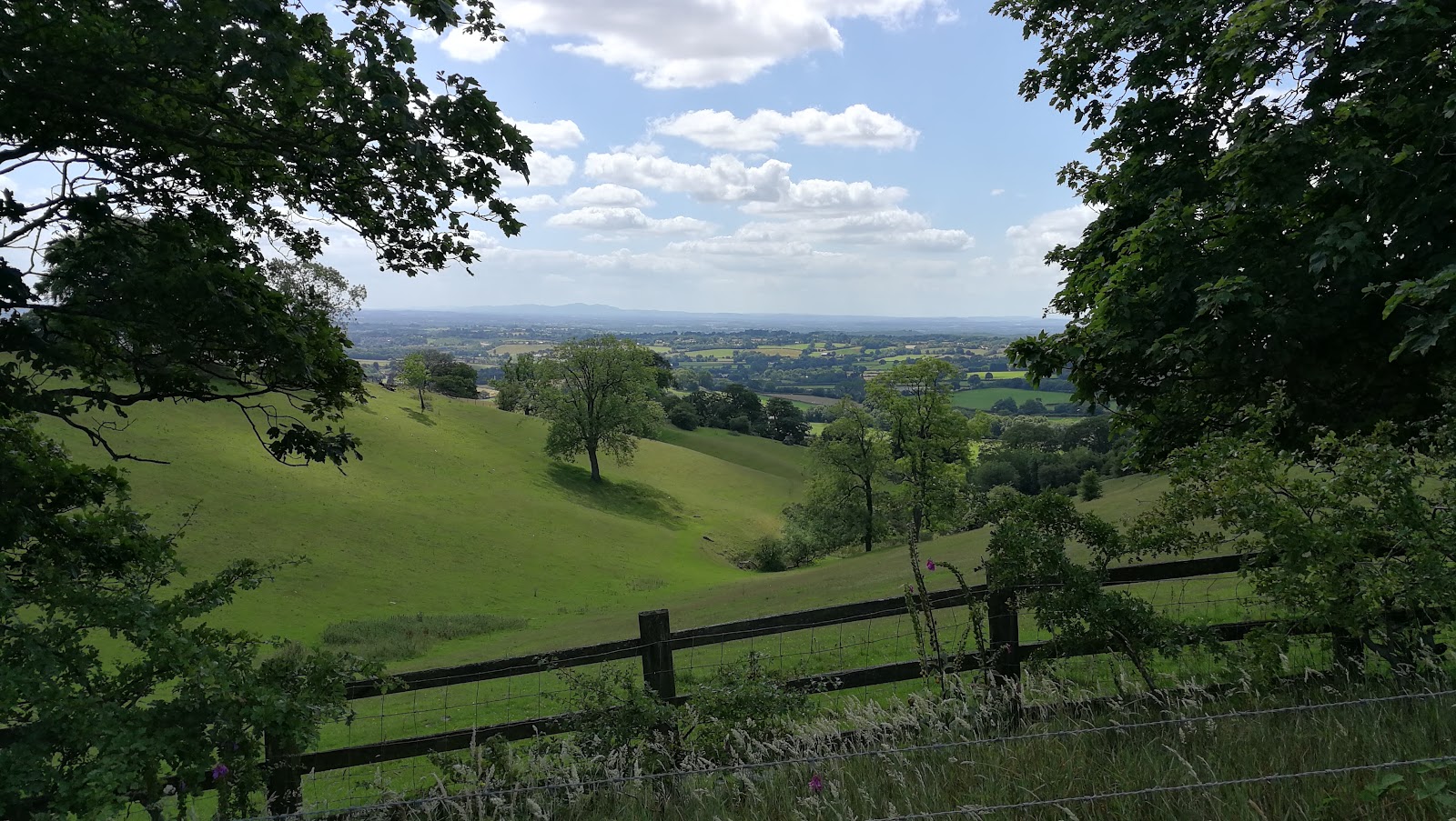 Waseley Hills Country Park — Place photograph