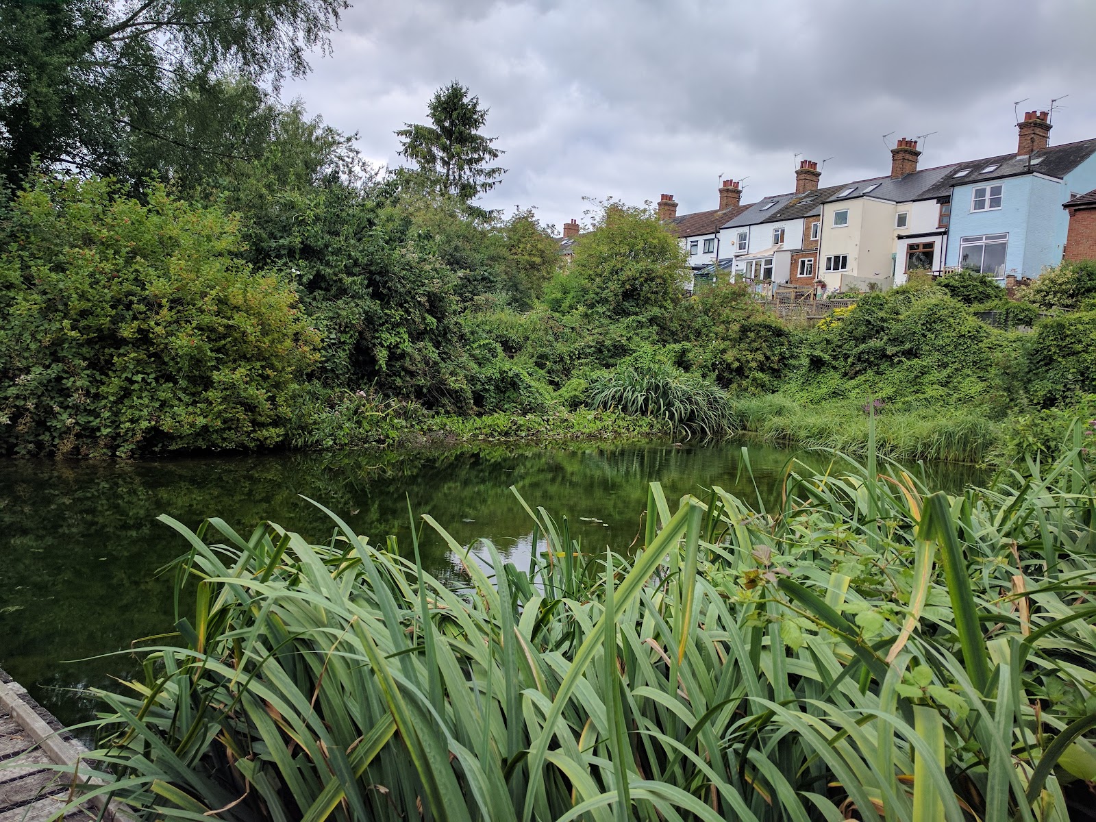 Watercress Wildlife Association — Place photograph
