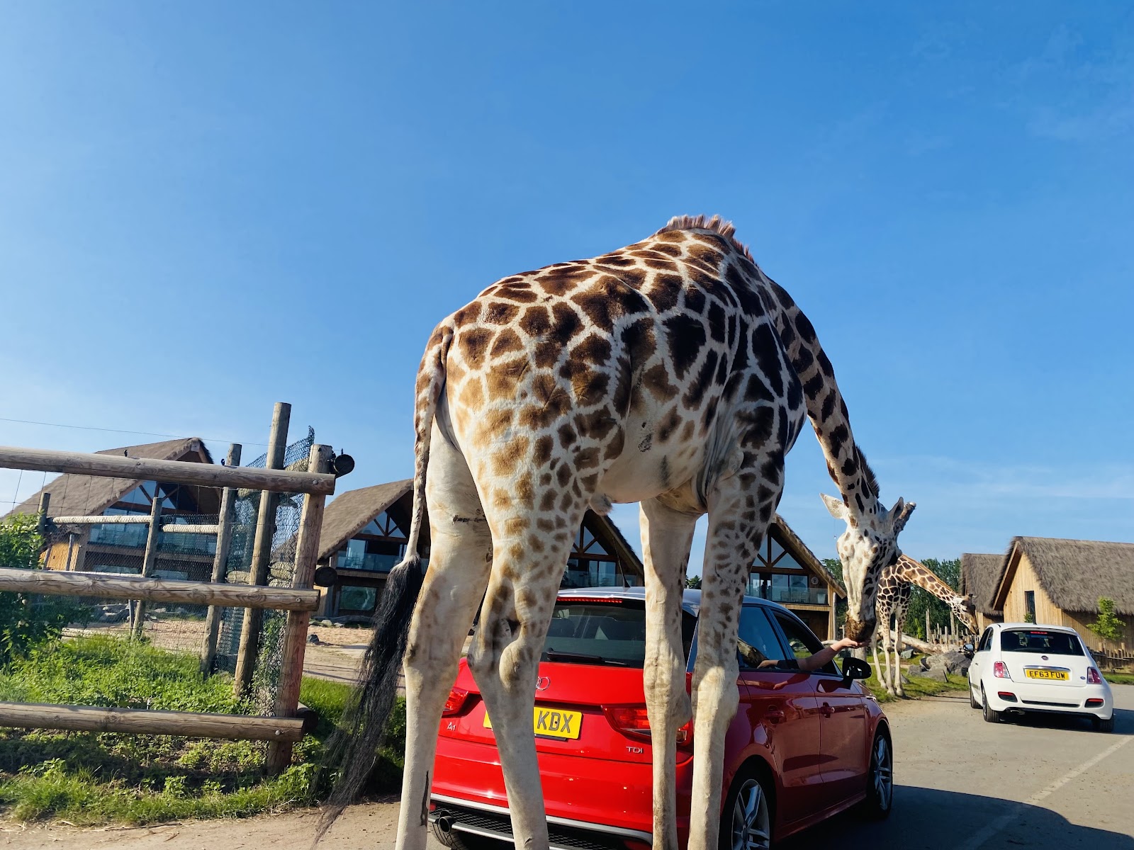 West Midlands Safari Park — Place photograph