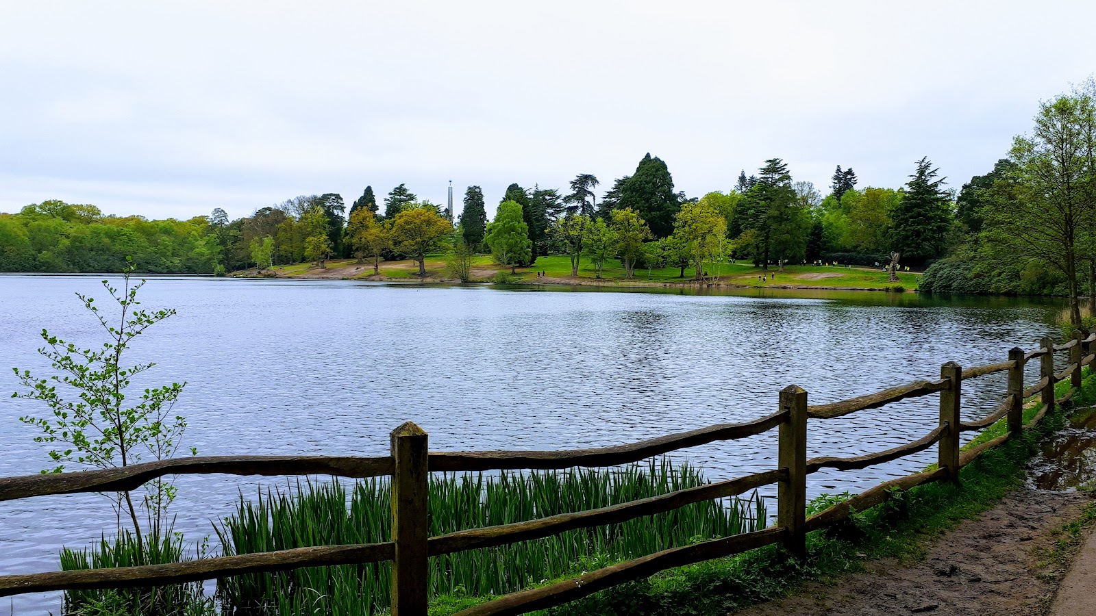 Windsor Great Park — Source image