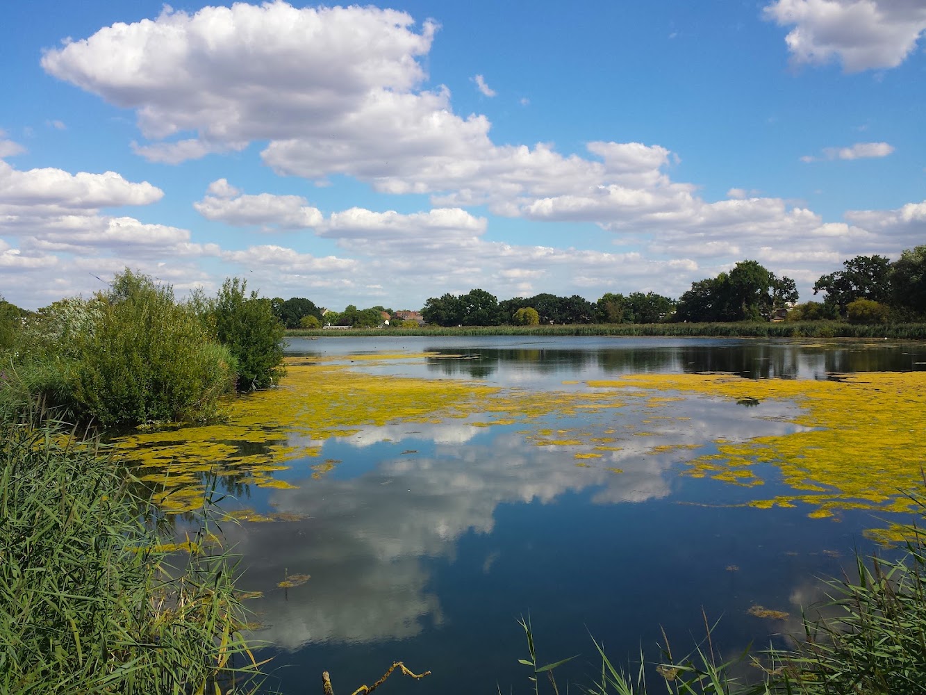 Woodberry Wetlands — Source image