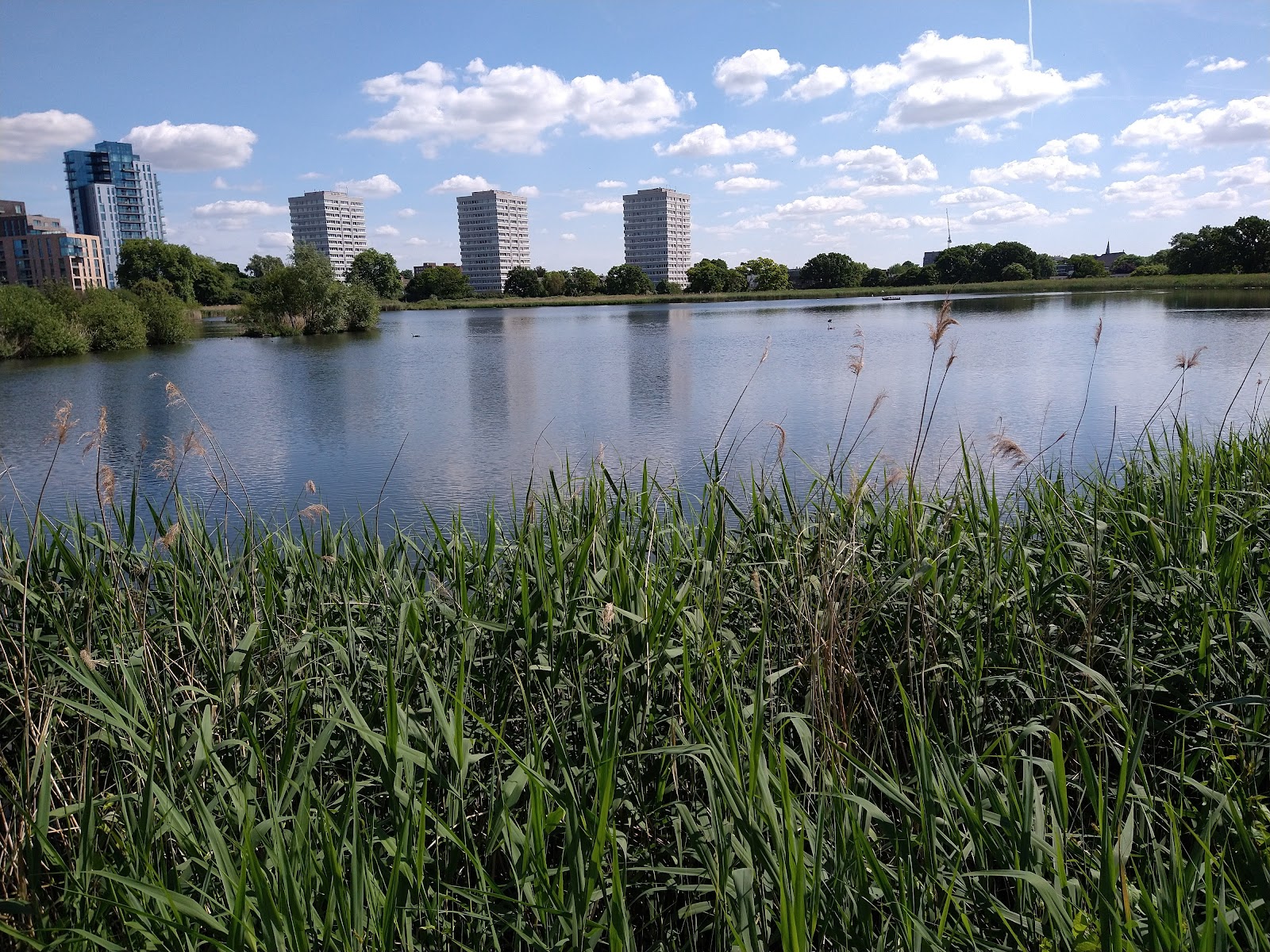 Woodberry Wetlands — Place photograph