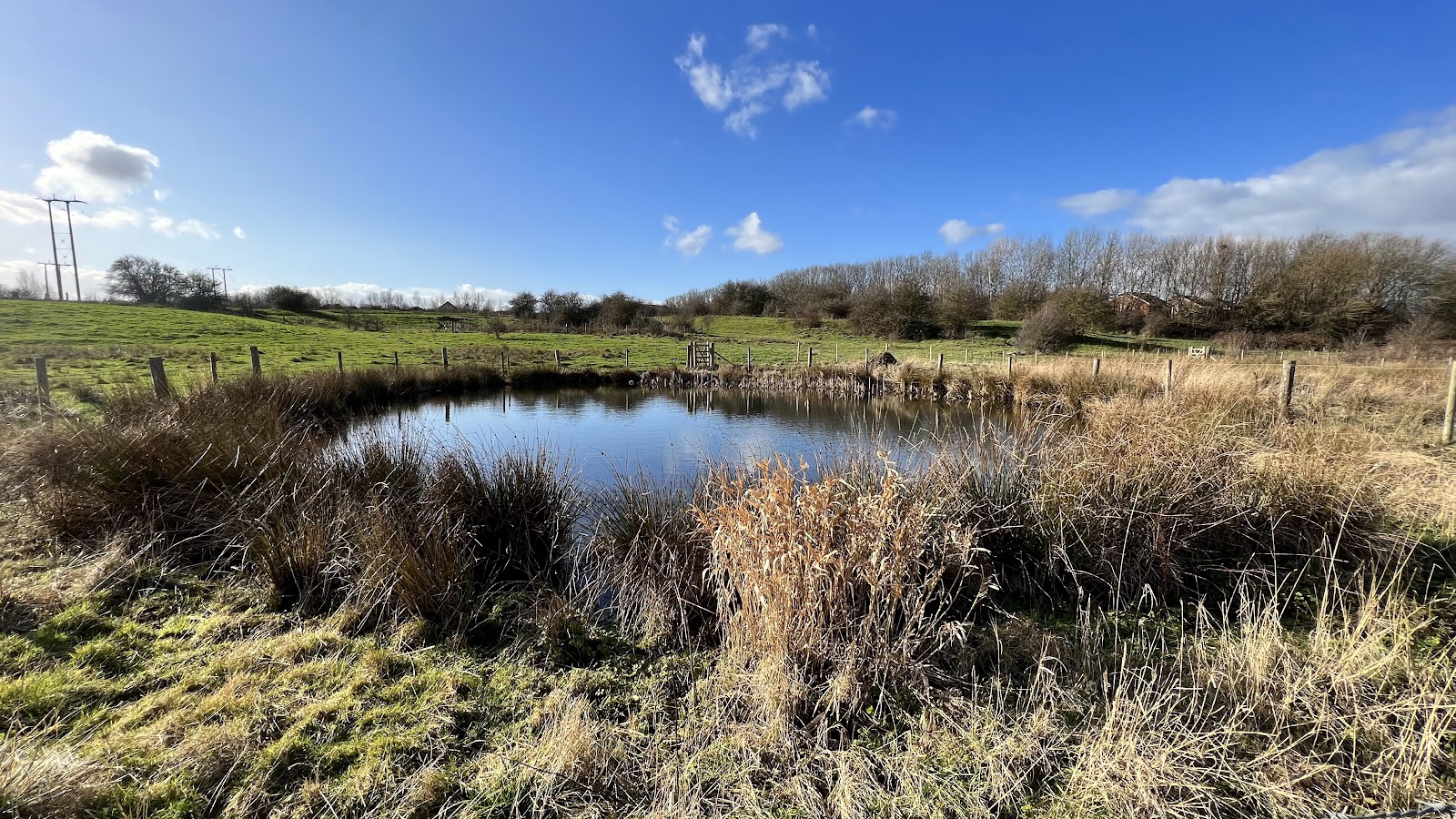 Woodhouse Washlands Nature Reserve — Source image