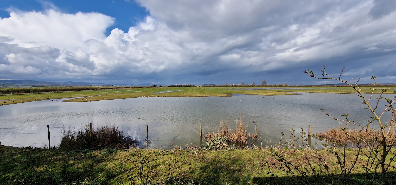 WWT Slimbridge — Source image