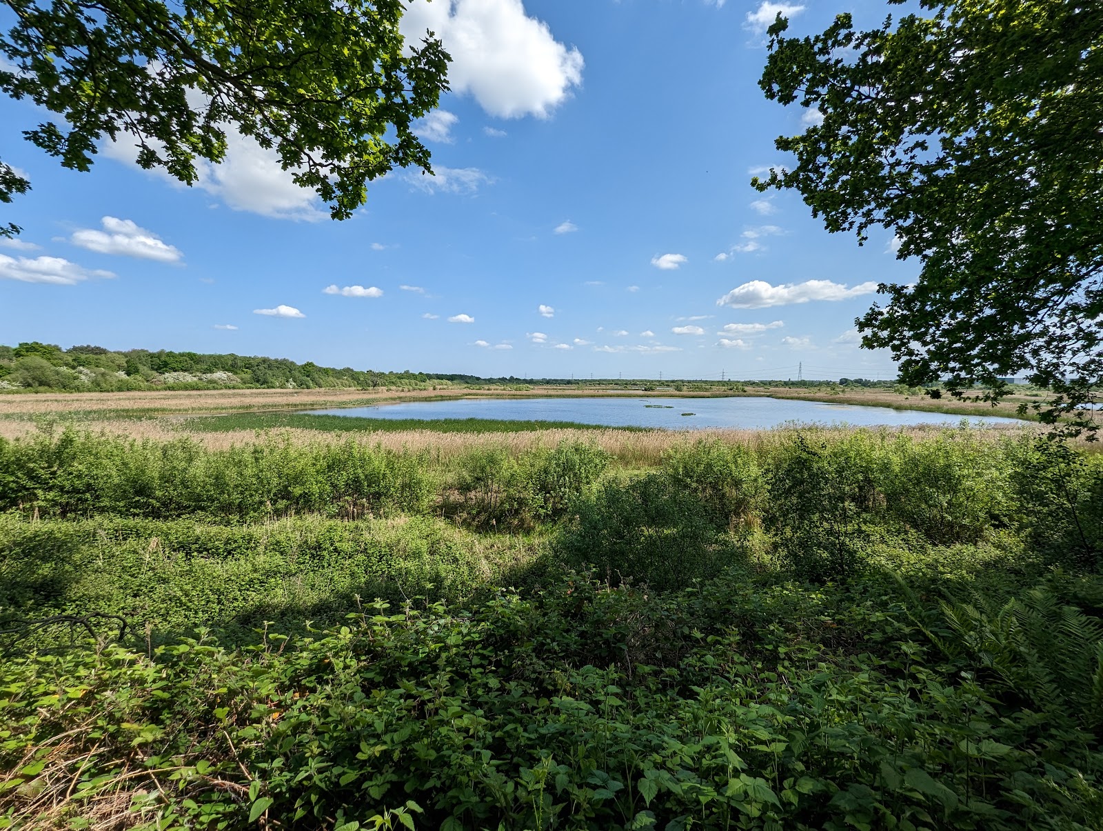 YWT Potteric Carr Nature Reserve — Place photograph