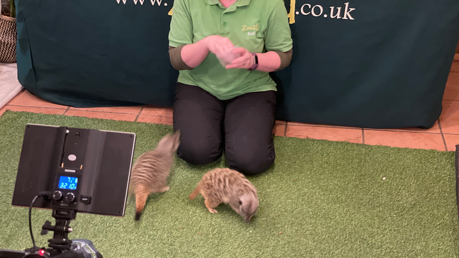 Zoo2U / Holmes Chapel Zoo — Place photograph