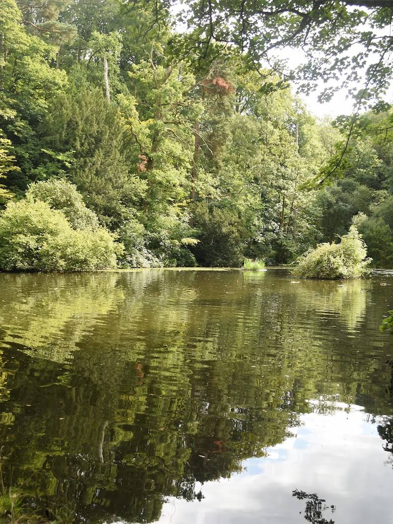 Abbots Pool — Place photograph