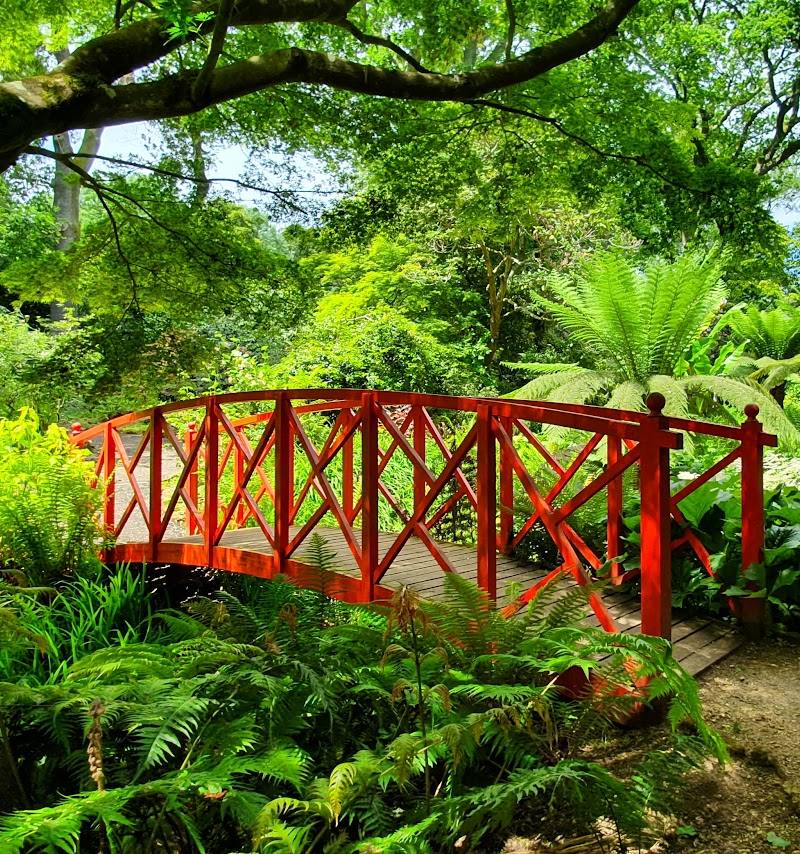 Abbotsbury Subtropical Gardens