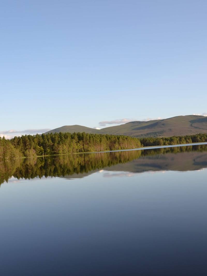 Abernethy Forest — Place photograph (1 of 3)