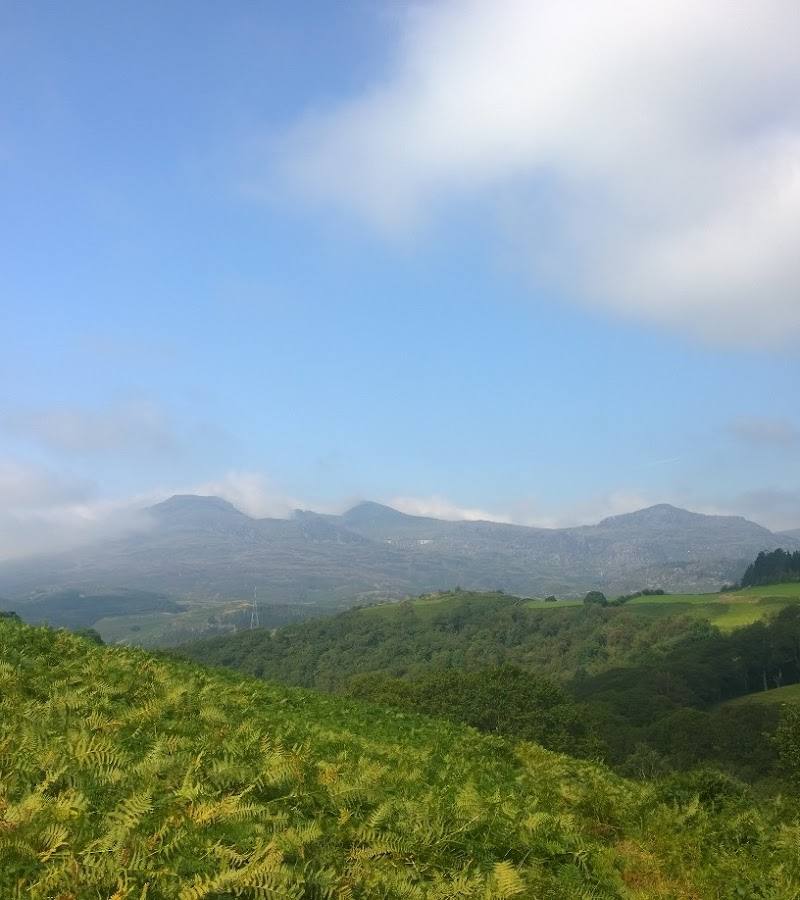 Afon Cynfal — Place photograph (3 of 3)