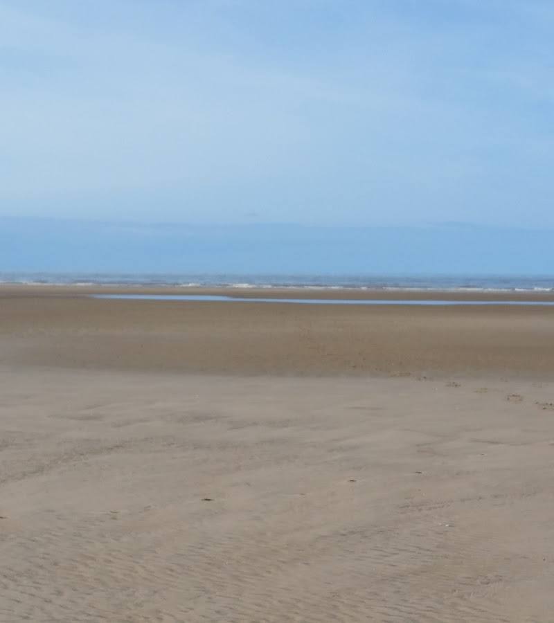 Ainsdale and Birkdale Sandhills Nature Reserve