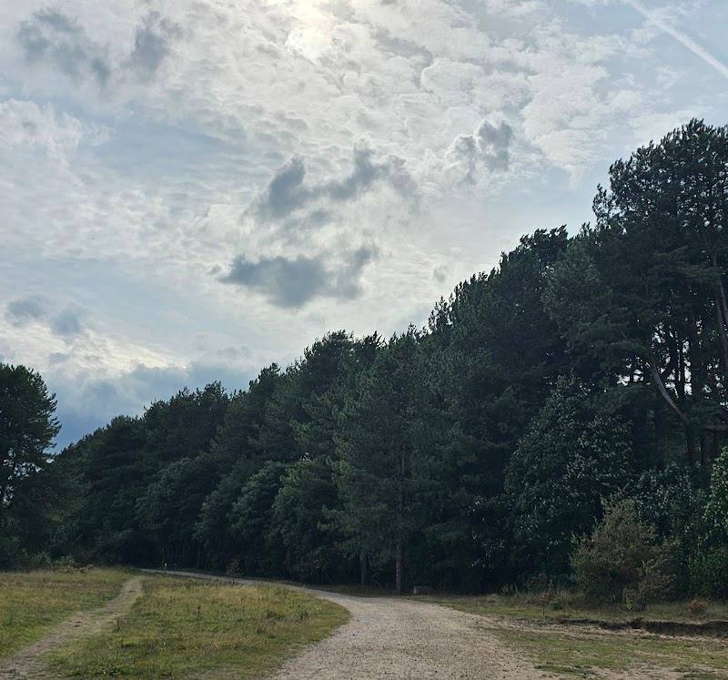 Ainsdale Sand Dunes Nature Reserve