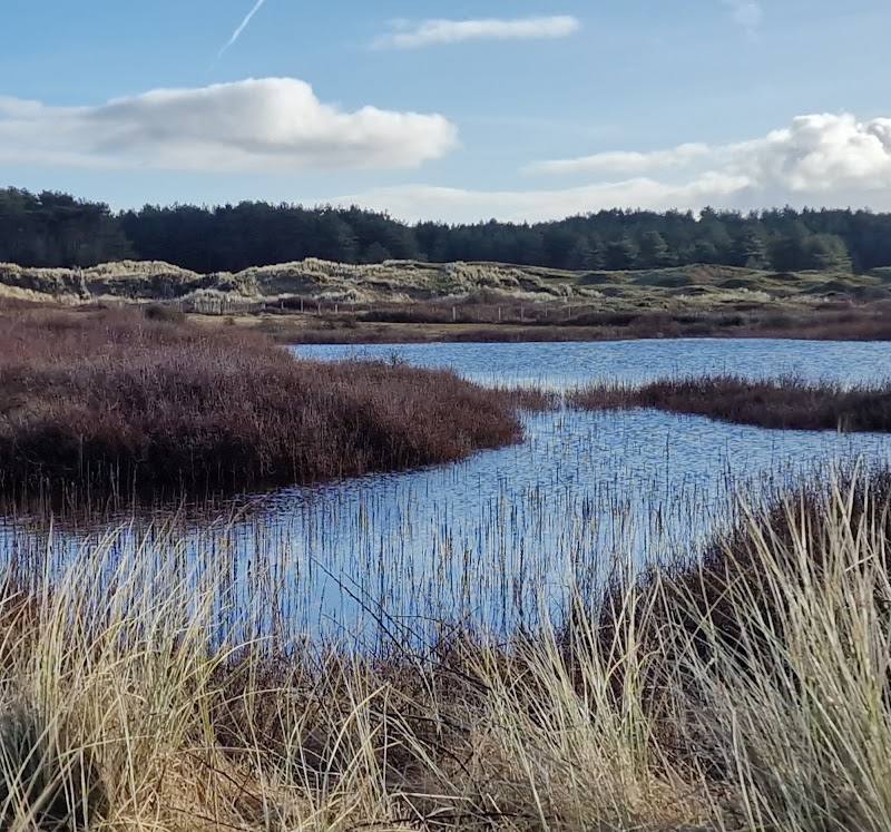 Ainsdale Sand Dunes Nature Reserve