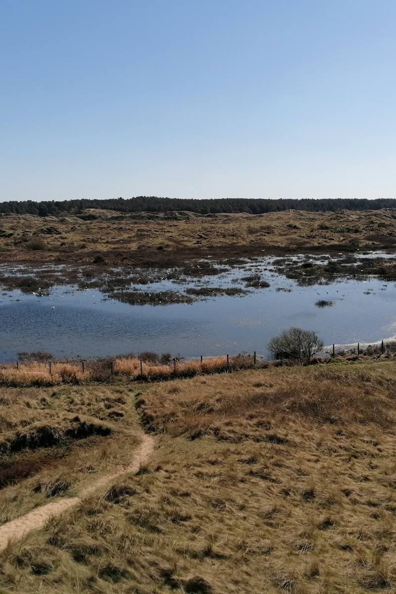 Ainsdale Sand Dunes Nature Reserve — Place photograph