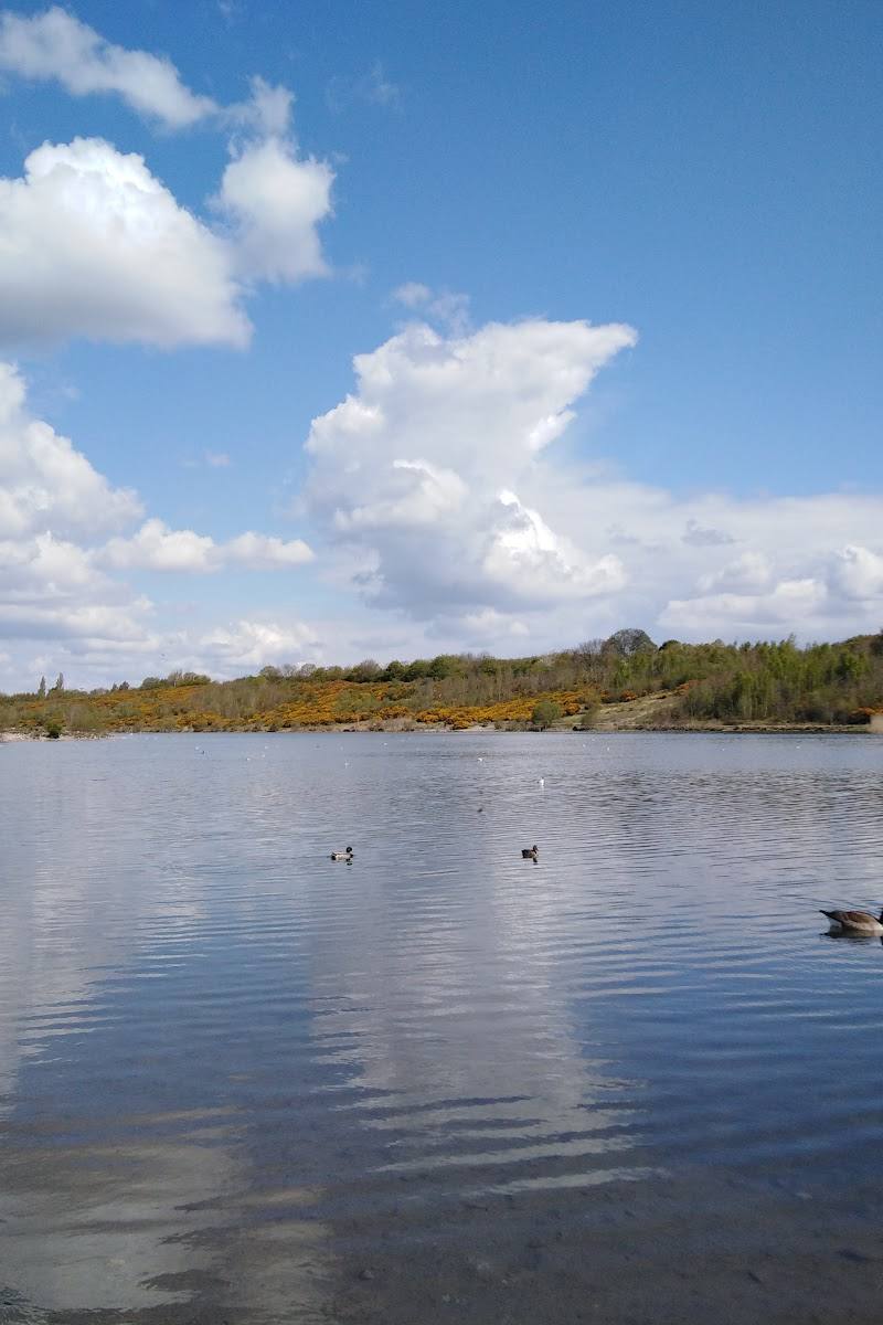 Albert Village Lake — Place photograph