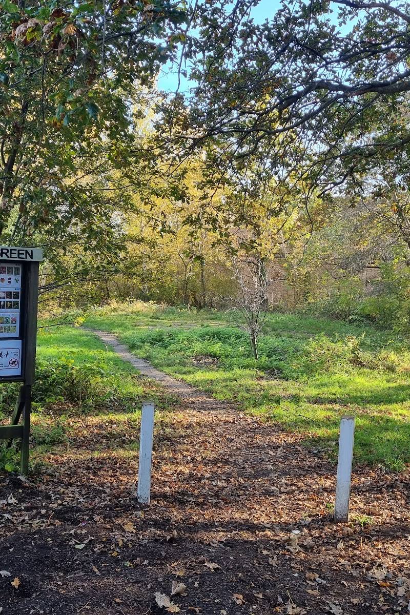 Albion Millennium Green — Place photograph