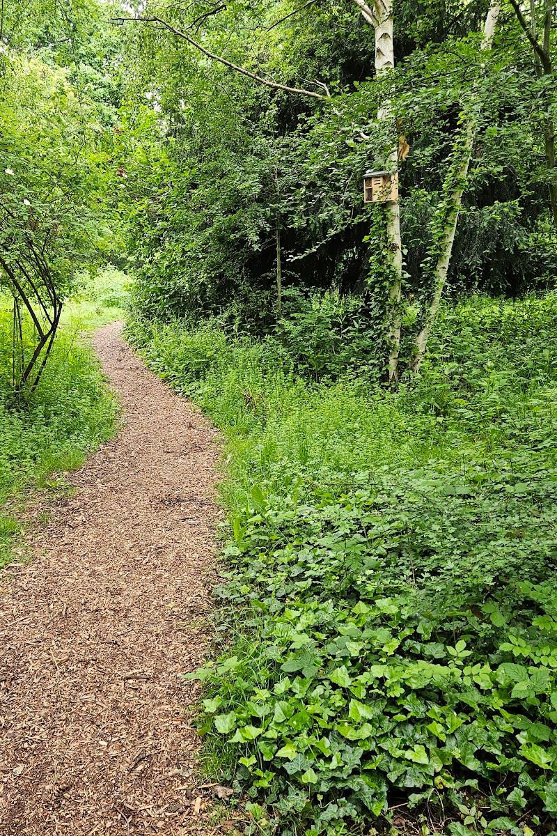 Albion Millennium Green