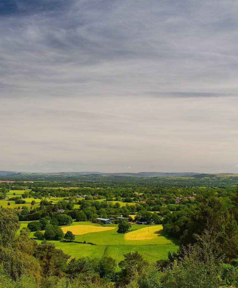 Alderley Edge Woodland Walk — Place photograph
