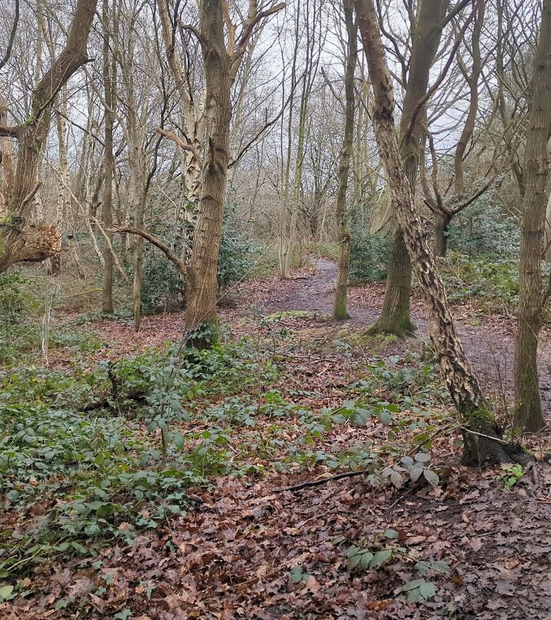 Alexandrina Plantation Nature Reserve — Place photograph