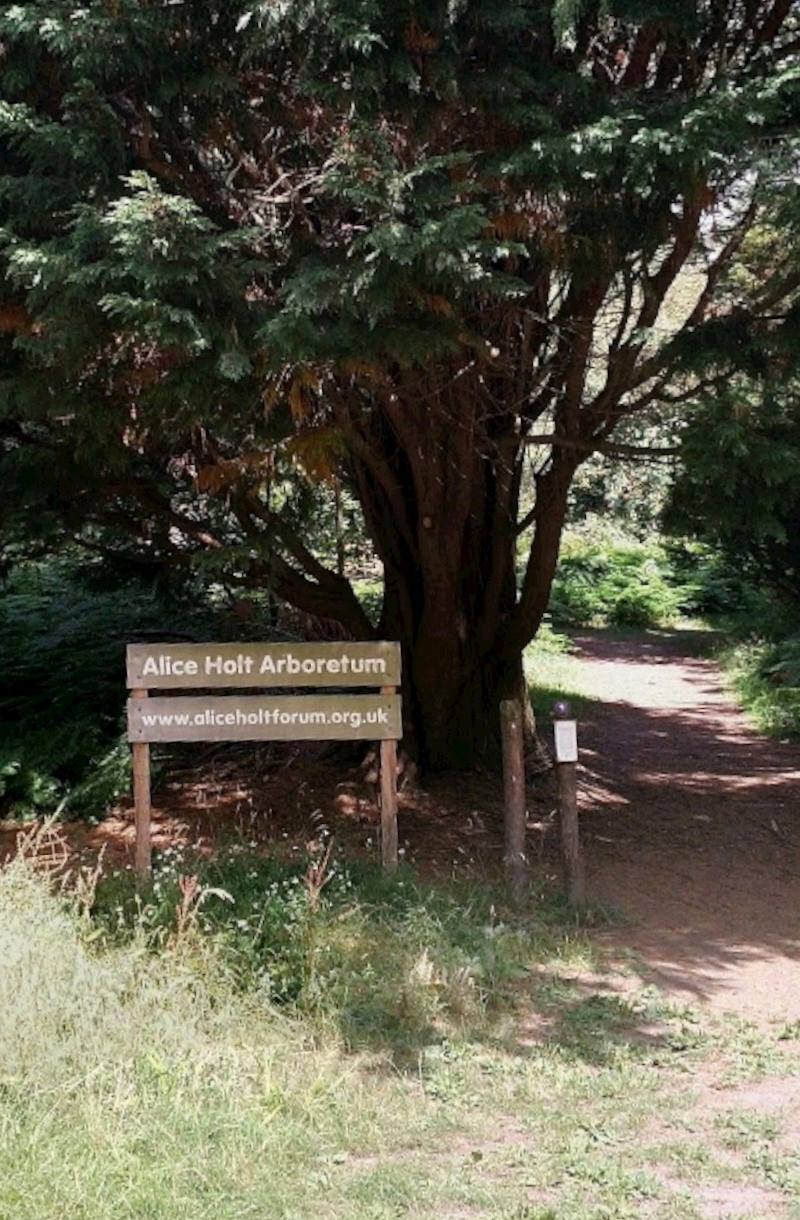 Alice Holt Forest Arboretum