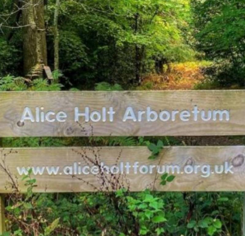 Alice Holt Forest Arboretum — Place photograph
