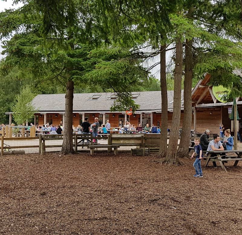 Alice Holt's Timberline Play Trail