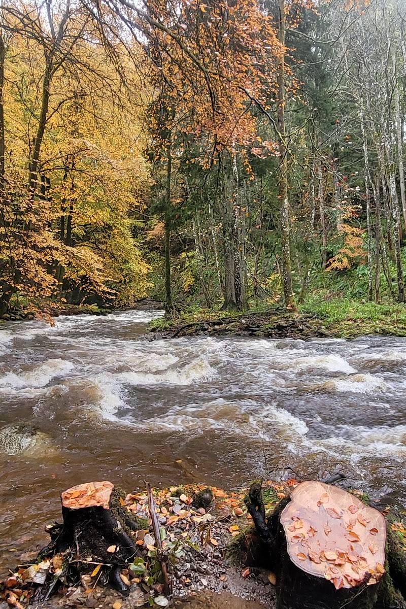 Alyth Den — Place photograph