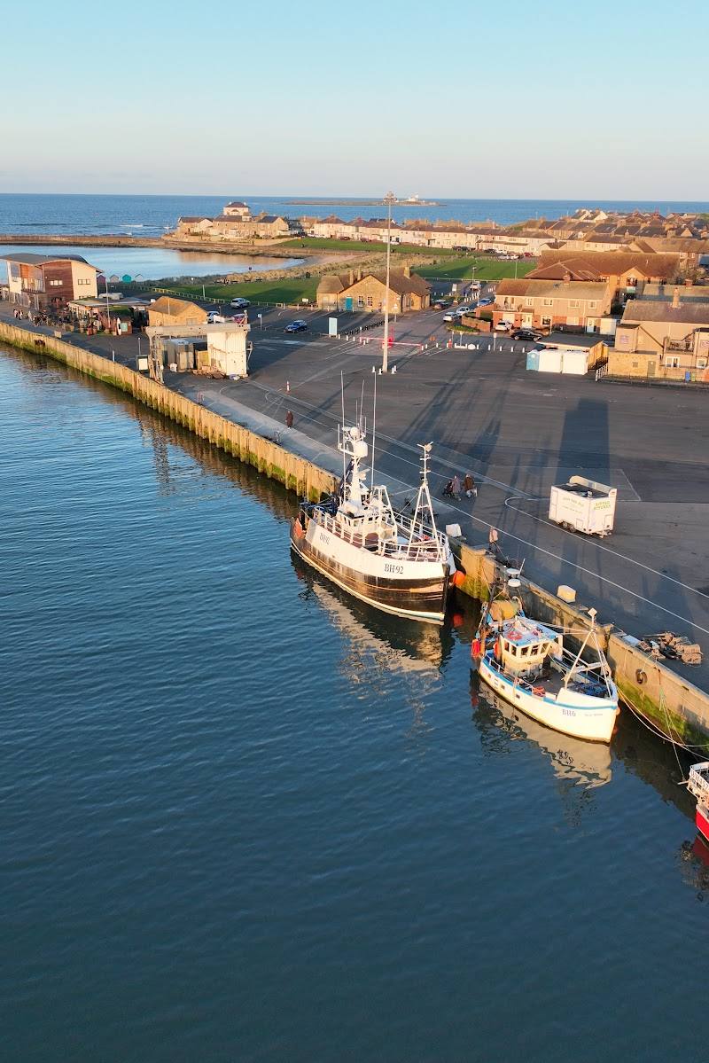 Amble Harbour