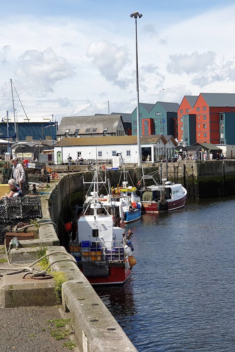 Amble Harbour Village — Place photograph (3 of 3)