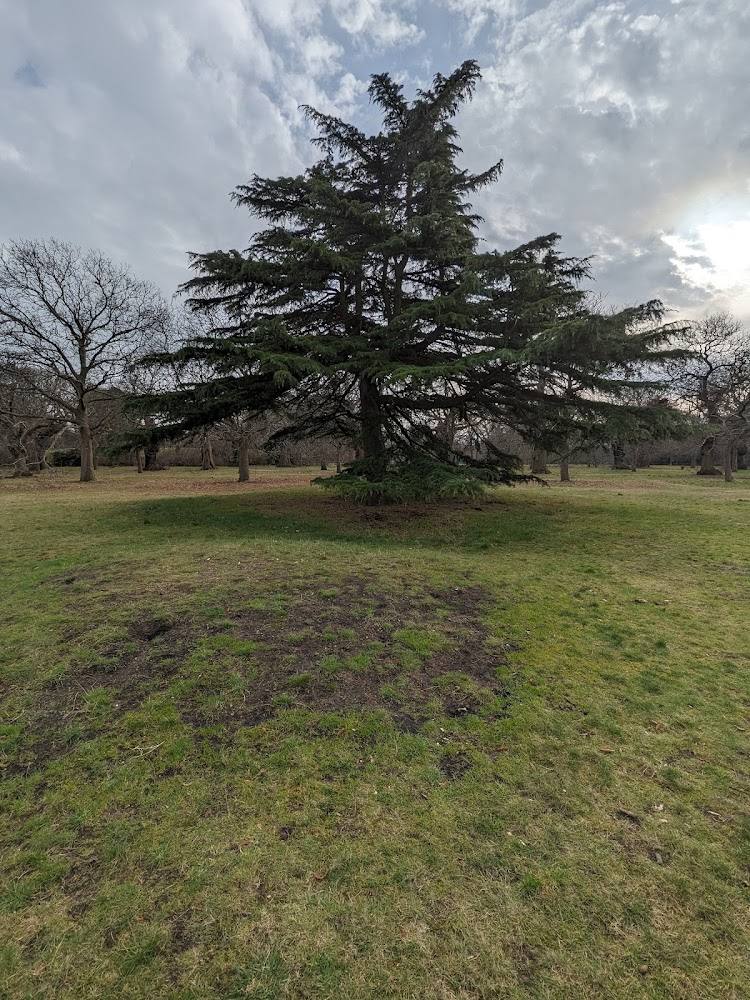 Anglo-Saxon Barrows, Greenwich Park — Source image