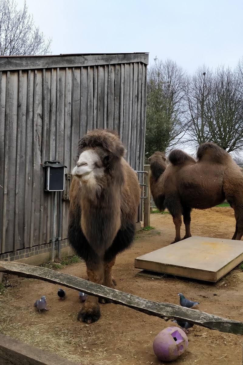 Animal Adventure, London Zoo — Place photograph (1 of 3)