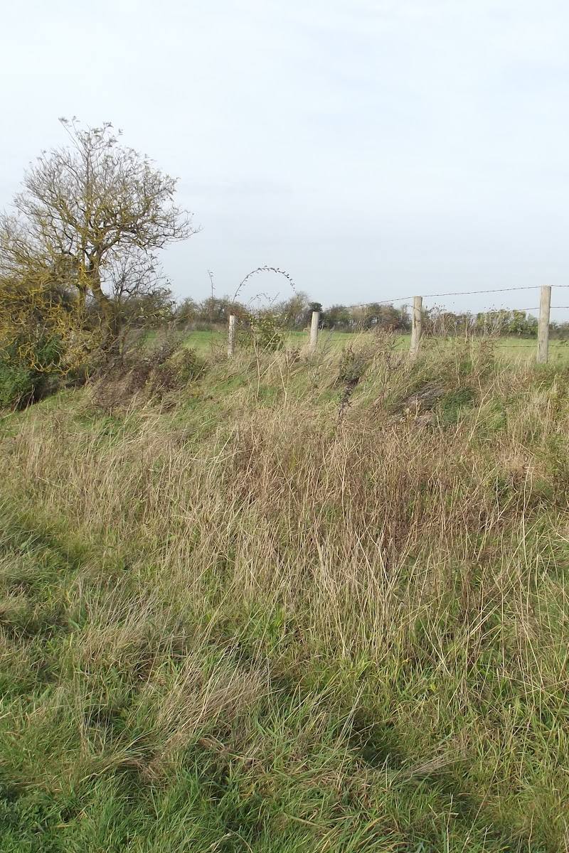 Arbury Banks Hill Fort — Place photograph