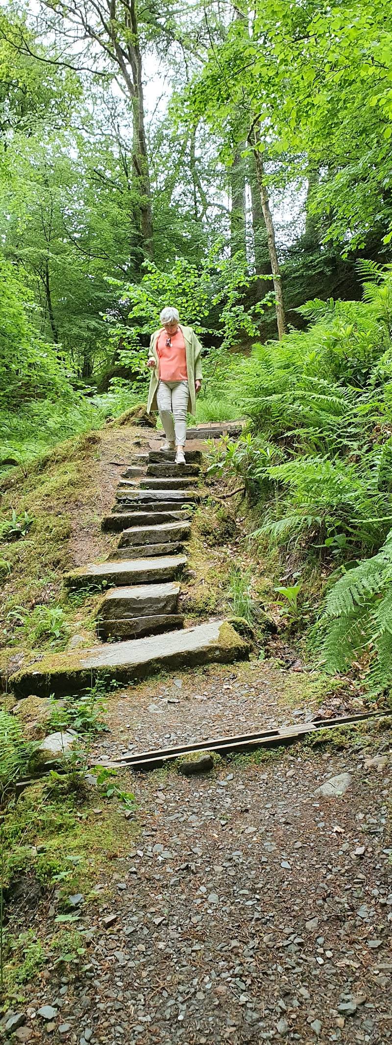 Ardkinglas Woodland Garden