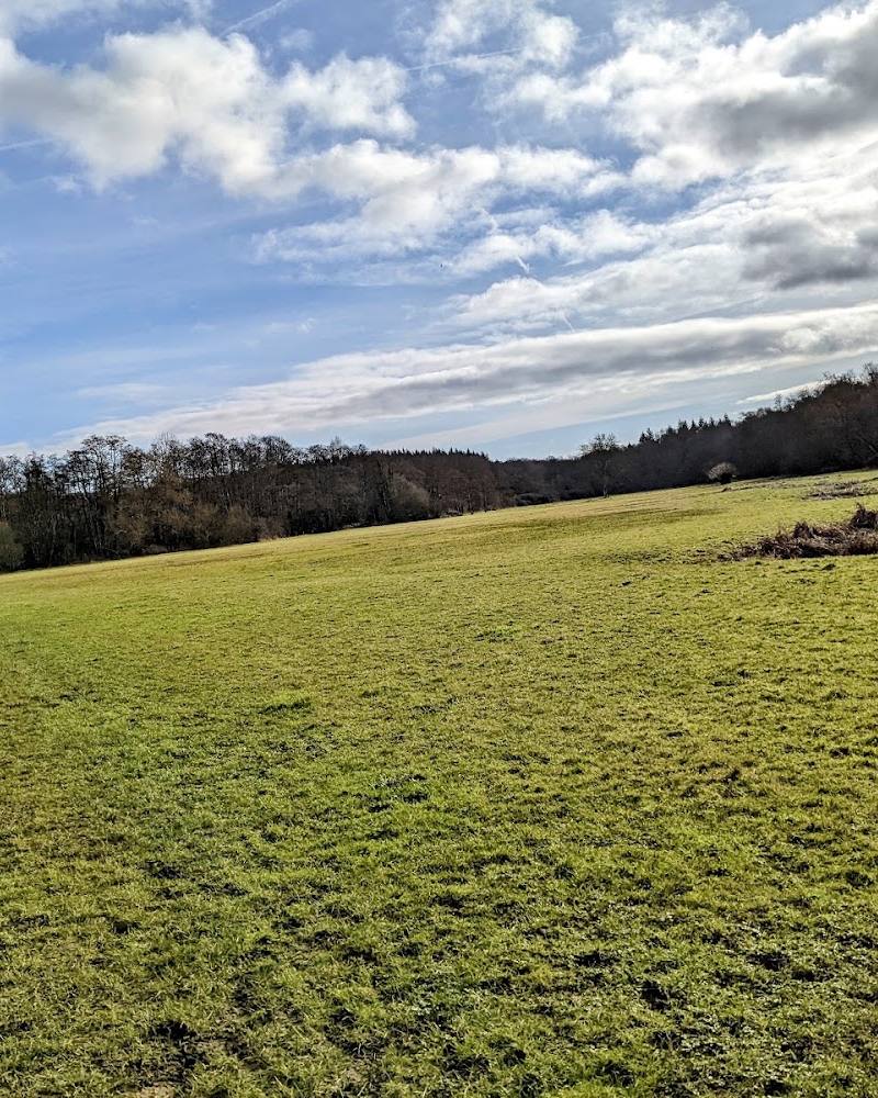 Ashford Hill National Nature Reserve — Source image
