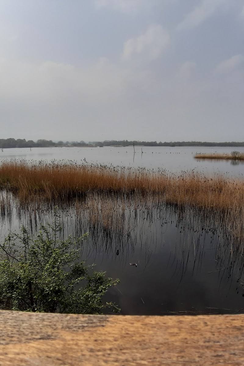 Avalon Marshes Centre