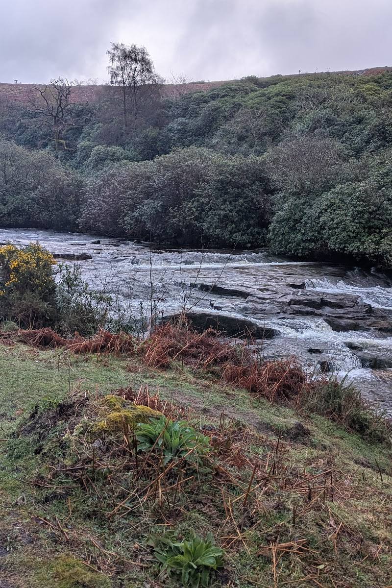 Avon Dam Reservoir — Place photograph (3 of 3)