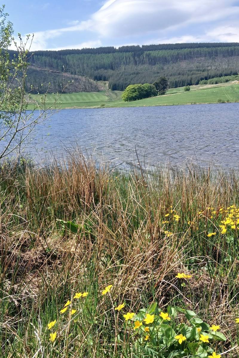 Backwater Reservoir — Place photograph (3 of 3)