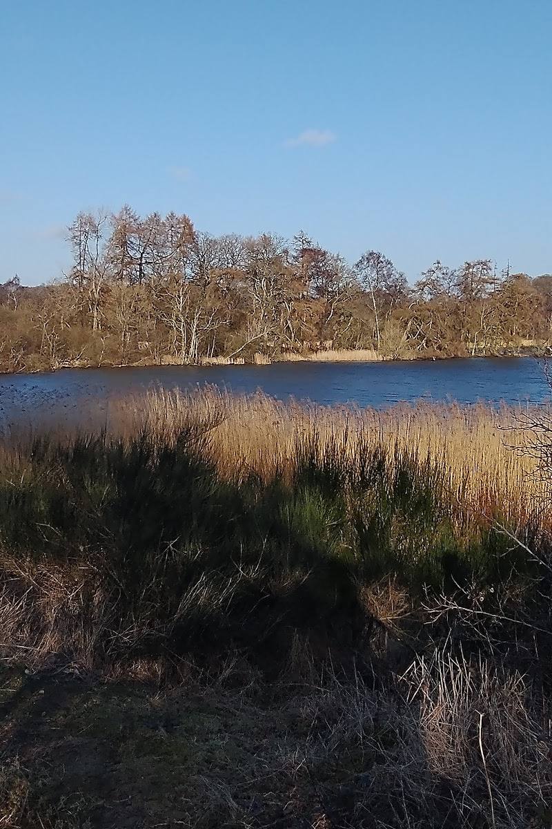 Balgavies Loch — Place photograph