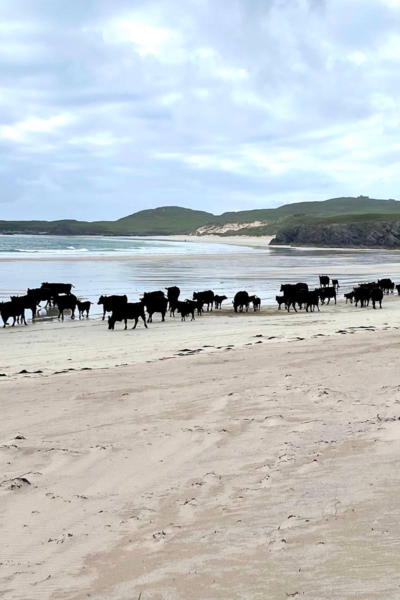 Balnakeil Beach