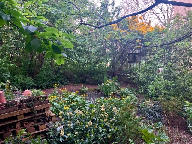 Barbican Wildlife Garden