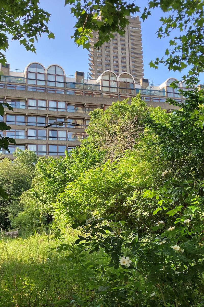 Barbican Wildlife Garden — Place photograph